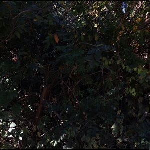 a lil' info abt me !